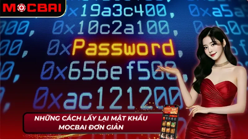 Cách lấy lại mật khẩu Mocbai đơn giản nhưng đầy thú vị