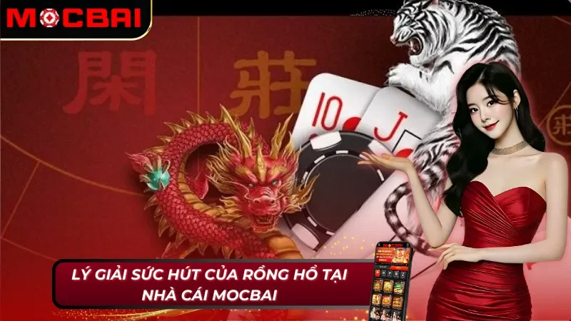 Ưu điểm duy trì sự hấp dẫn của Rồng Hổ Mocbai
