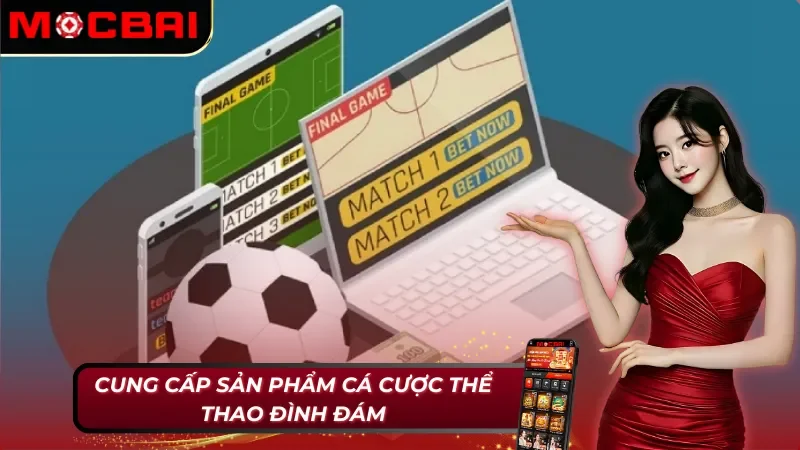 SBOBET Sports - Nhà Cung Cấp Cá Cược Thể Thao Uy Tín Tại Mocbai 3 Cá cược thể thao - Sản phẩm chất lượng tại SBOBET Sports Mocbai