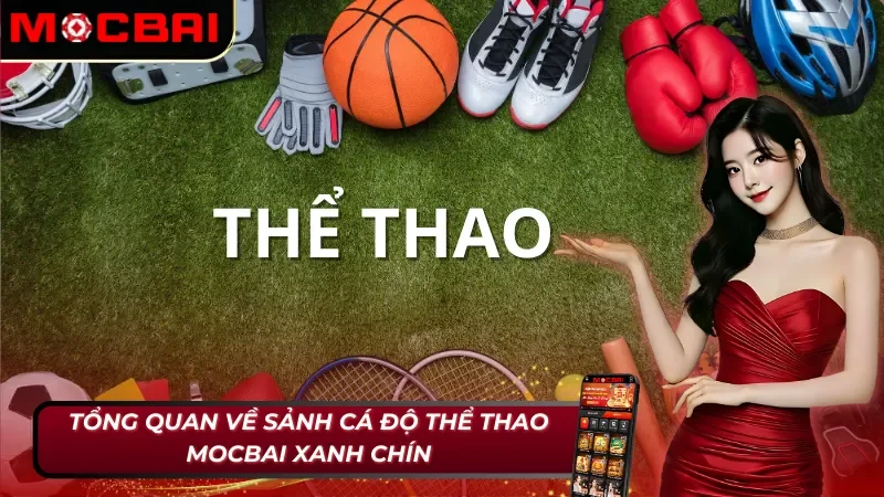 Thể Thao Mocbai - Trải Nghiệm Sảnh Cược Chất Lượng Số Một 2026 2 Thông tin chung về sảnh cược thể thao Mocbai